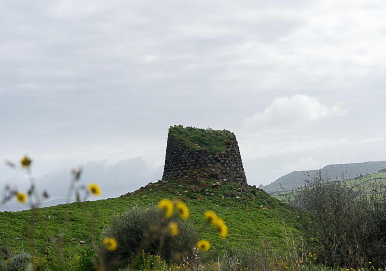 Albergo Rurale Casa Fois فاليدوريا المظهر الخارجي الصورة
