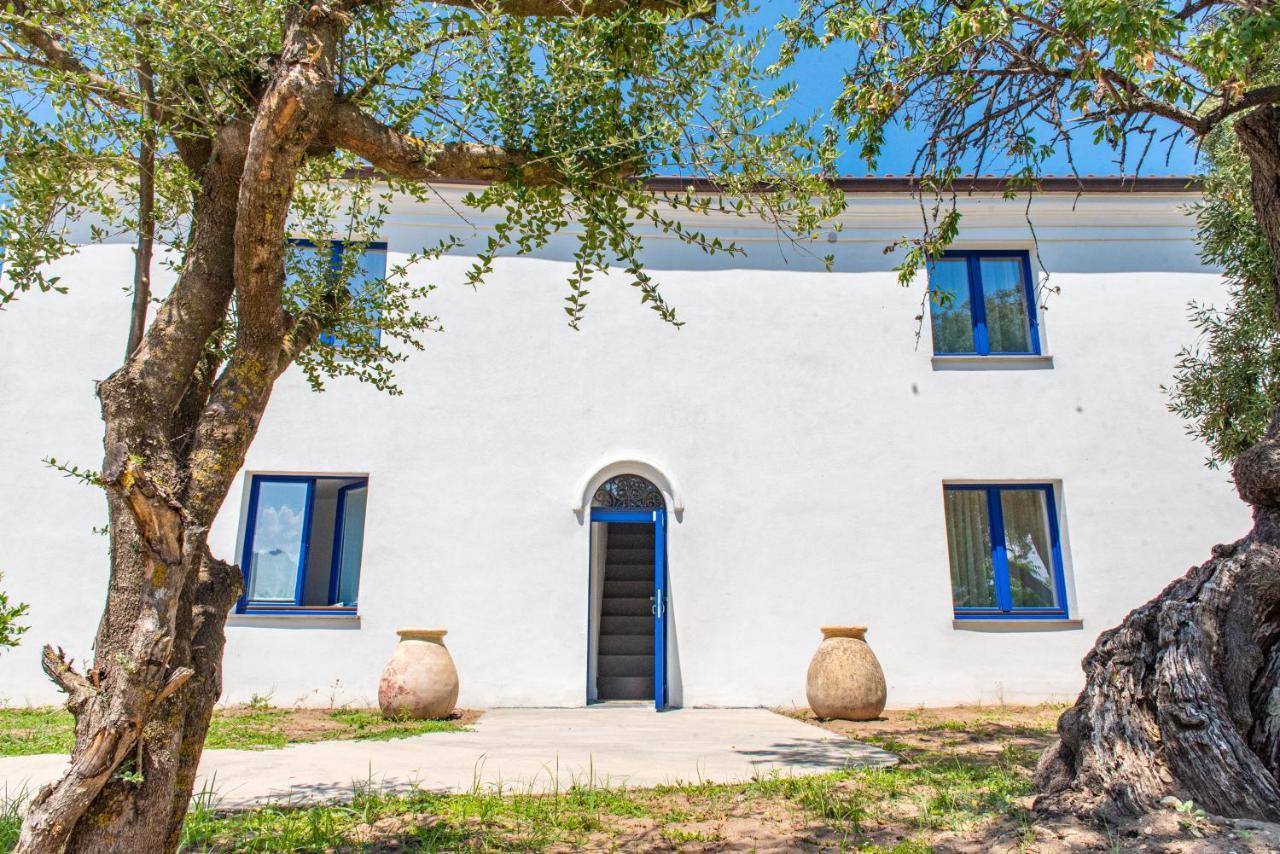 Albergo Rurale Casa Fois فاليدوريا المظهر الخارجي الصورة